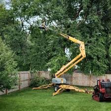 Best Arborist Consultation Services  in Riverse, ID