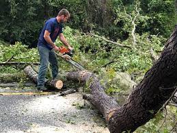 Best Leaf Removal  in Riverse, ID